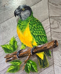 African Parrot