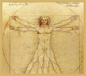 Vitruvian Man (drawing)
